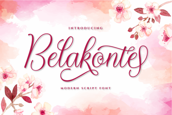 Belakonte Script: A Small Business Owner’s Honest Branding Review