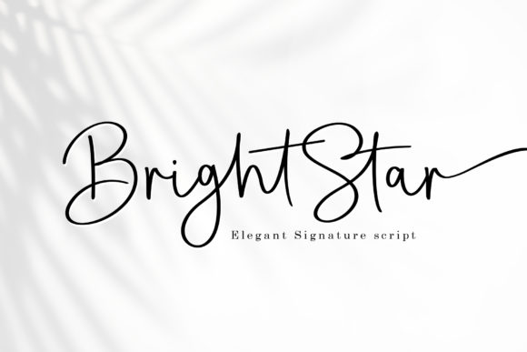 Bright Star: A Designer’s Honest Take on Script Amp’s New Release