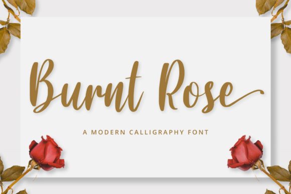 Burnt Rose Font Gave My Brand the Signature Look It Needed