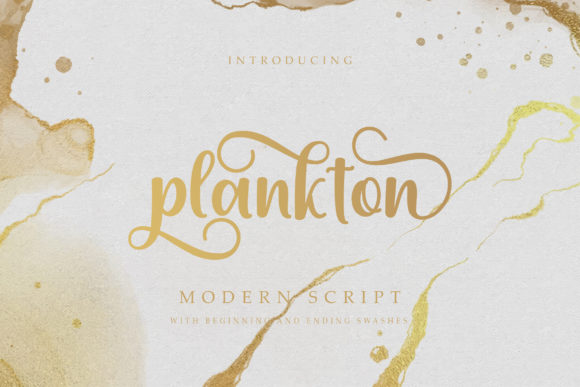 Plankton: The Script Font That Redefined Our Blog