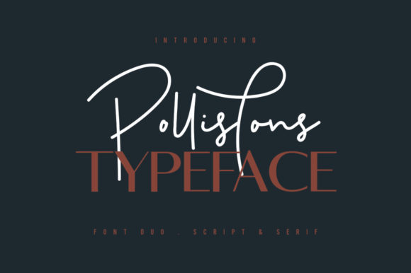 Pollistons Brings Duo Personality to Modern Web Design